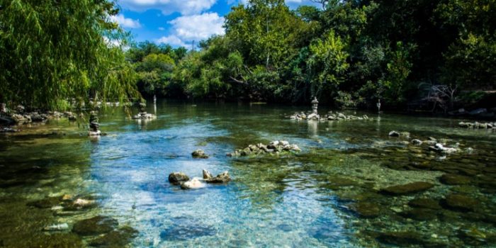 Barton Springs Pool